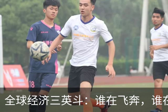 全球经济三英斗：谁在飞奔，谁在游泳，谁在做梦