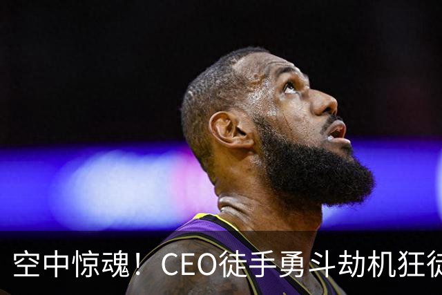 空中惊魂！CEO徒手勇斗劫机狂徒，血战成传奇